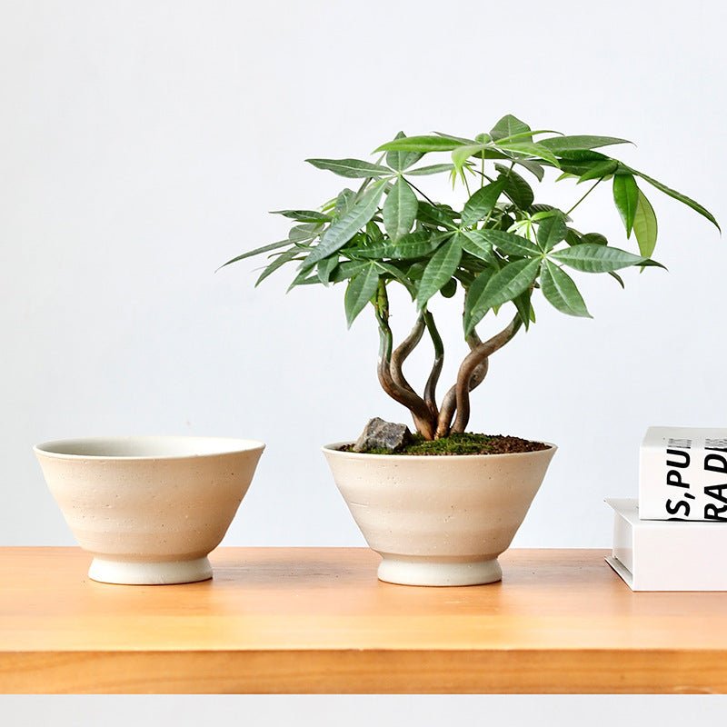 Stout Ceramic Pot - Small - Planter - 6114828895214 - Tumbleweed Plants - Online Plant Delivery Singapore