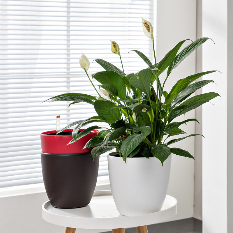 HydroEase Classic Self-Watering Pot - M