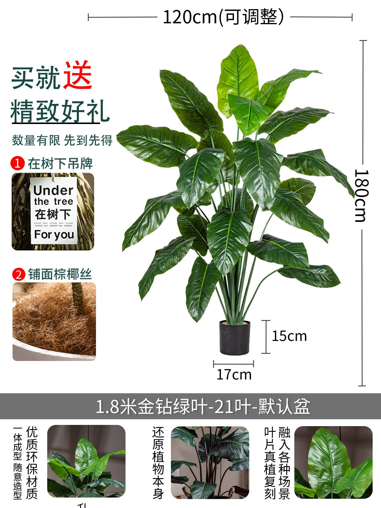 1.8m Gold Diamond?? The green leaves are encrypted and thickened