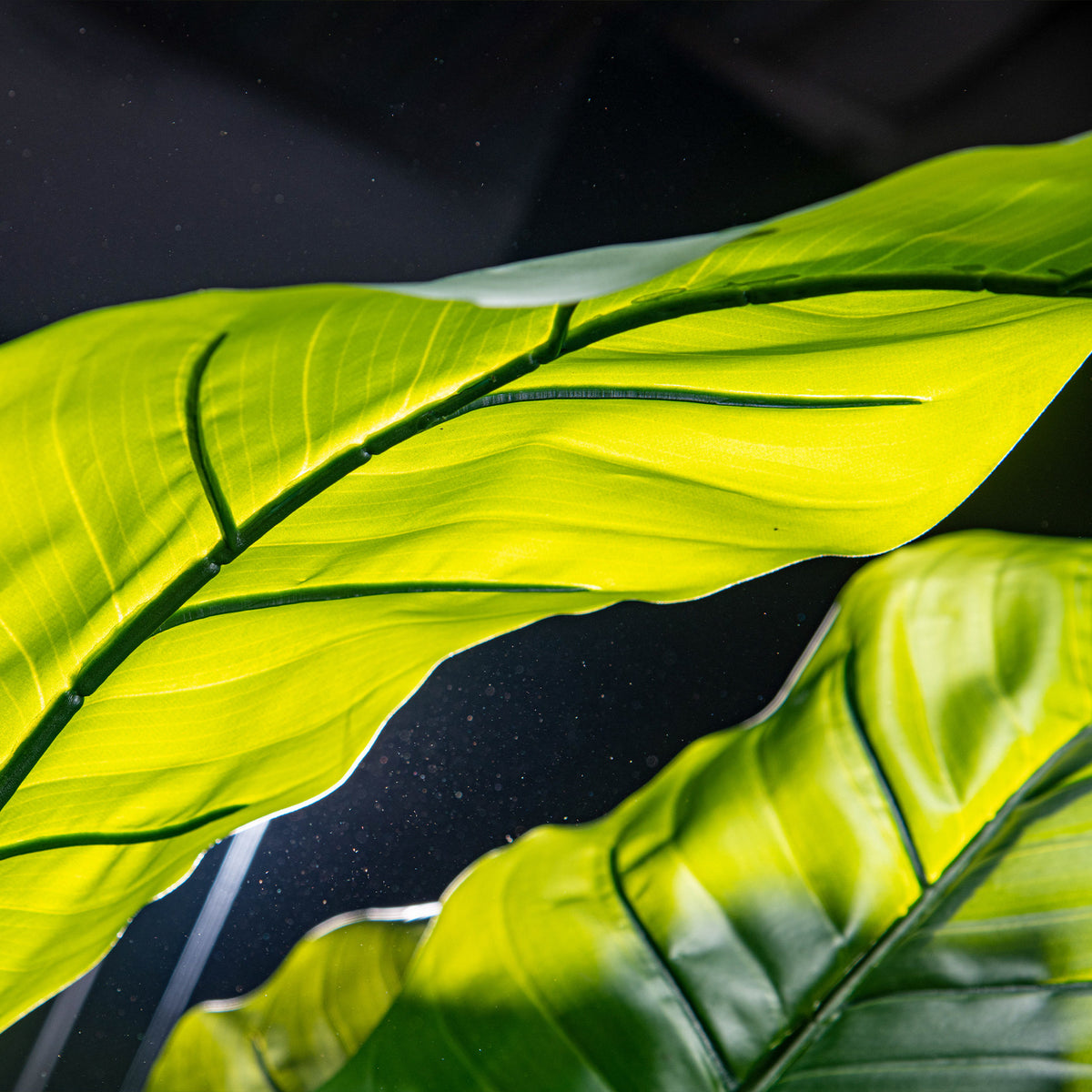 Taro Tree - Life-like Artificial