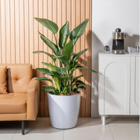 HydroEase Classic Self-Watering Pot - XL