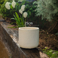 Tall Dotted Pot - Large