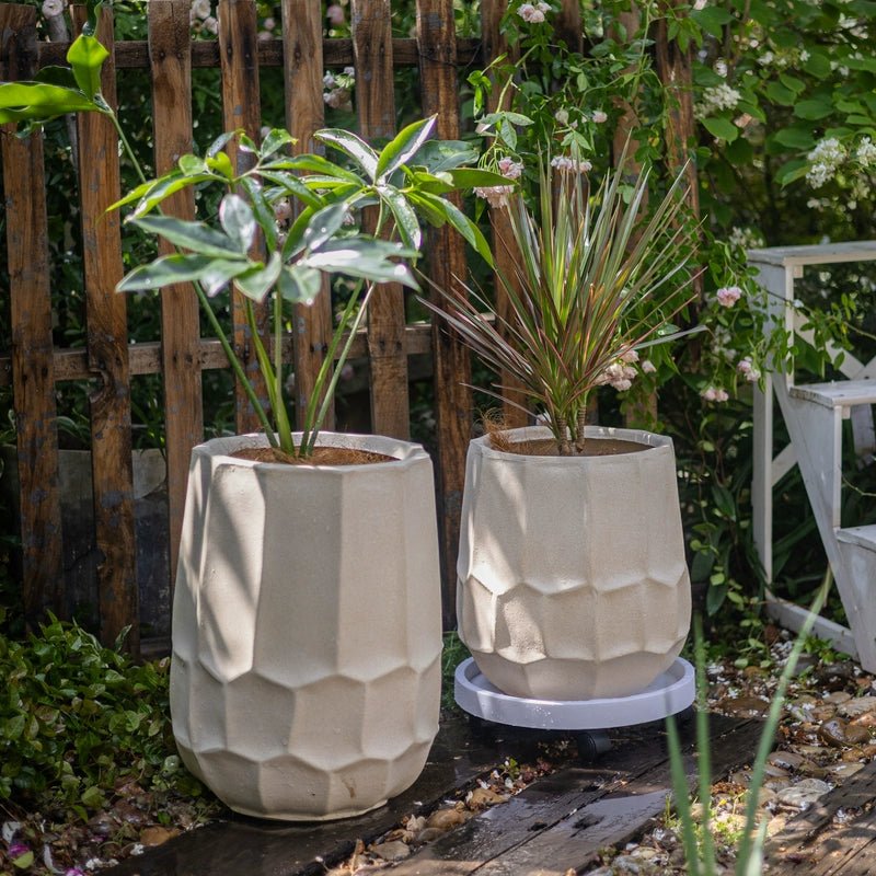 Eina Planter - Planter - 5967966363615 - Tumbleweed Plants - Online Plant Delivery Singapore