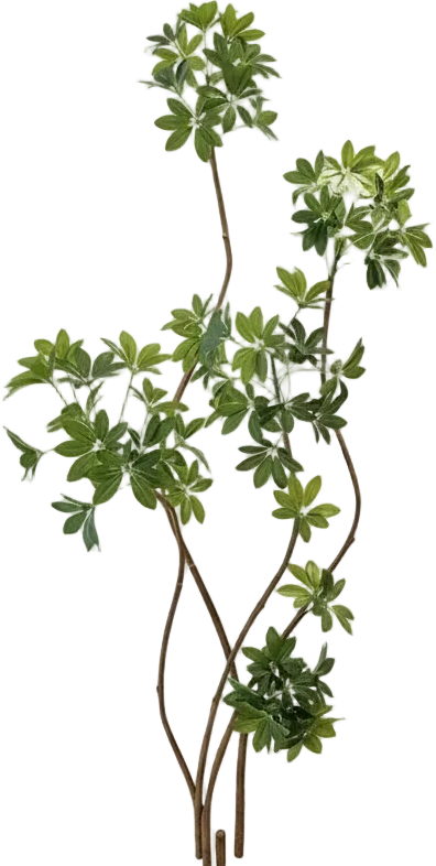 Dwarf Umbrella Tree (Life-like Artificial)