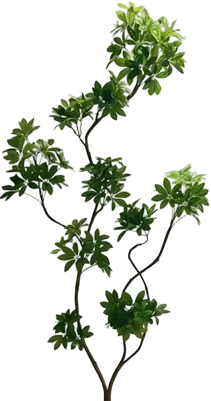 Dwarf Umbrella Tree (Life-like Artificial)