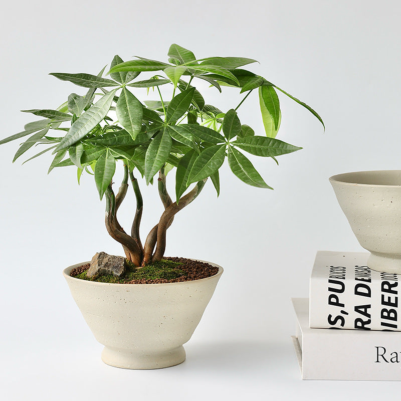 Stout Ceramic Pot - Small