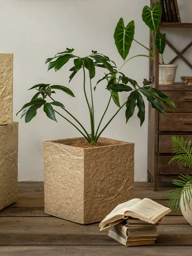 Cube Rock Pot - XL - Planter - 5906250428799 - Tumbleweed Plants - Online Plant Delivery Singapore