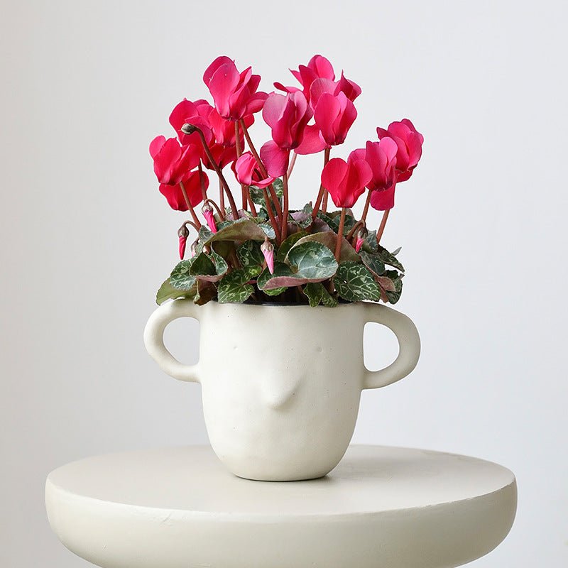 Otis Cup Pot - Planter - 5308473657520 - Tumbleweed Plants - Online Plant Delivery Singapore