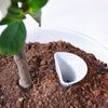 SoilMate Air Cup -  -  Tumbleweed Plants