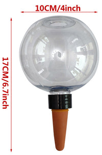 AquaSphere Self-Watering Globe -  -  Tumbleweed Plants