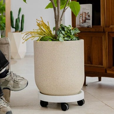 Sand Mist Pot - XXL - Pots - 5538873752818 - Tumbleweed Plants - Online Plant Delivery Singapore