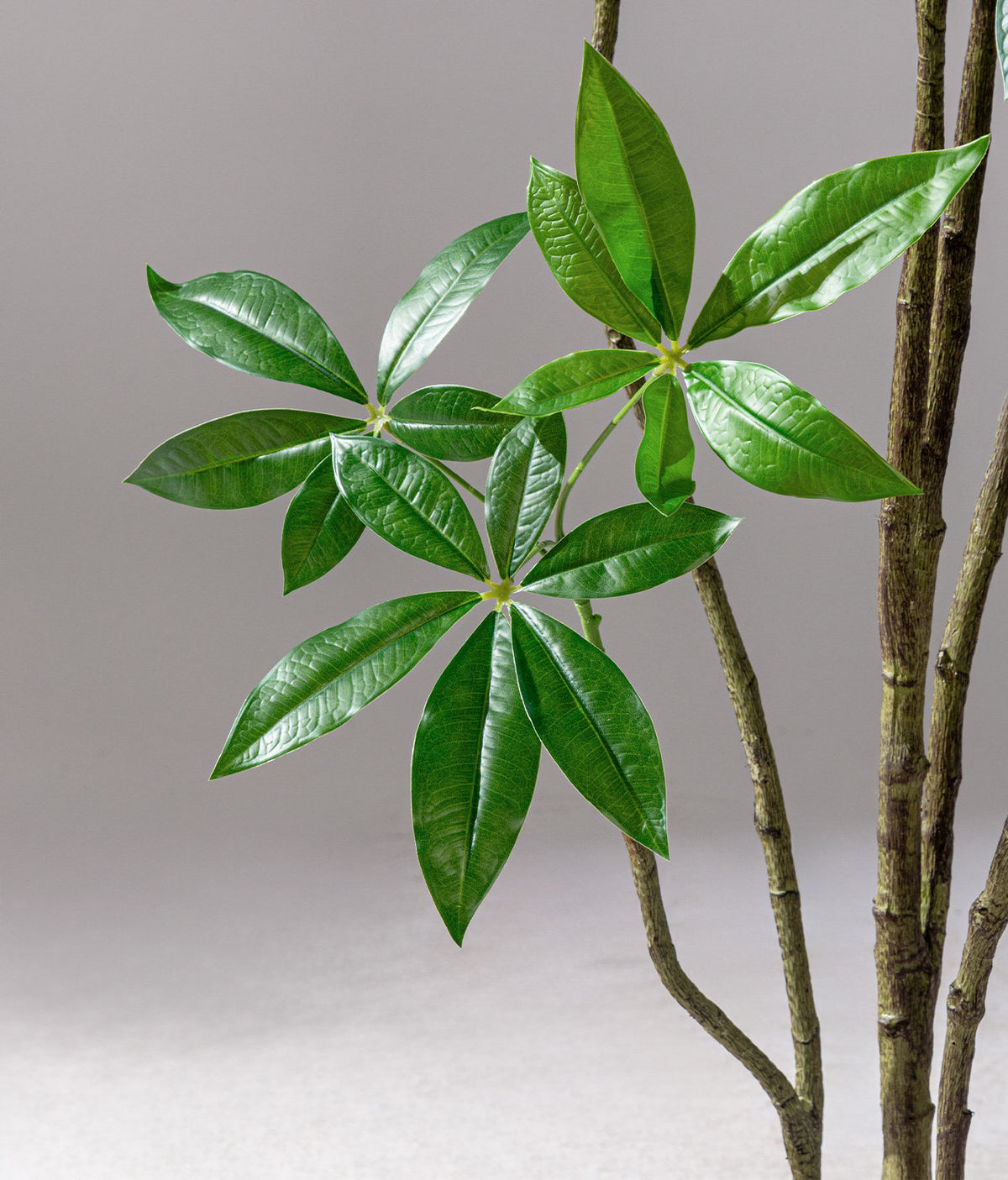 Money Tree - Life-like Artificial Plant (Fortune Tree)