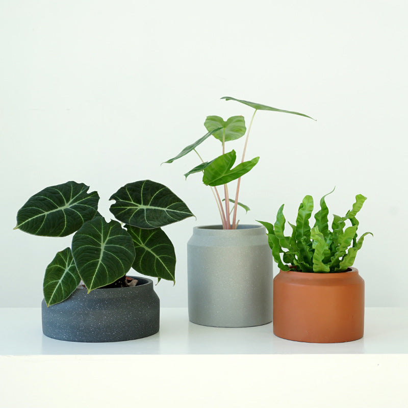 Ayra Short Cement Pot