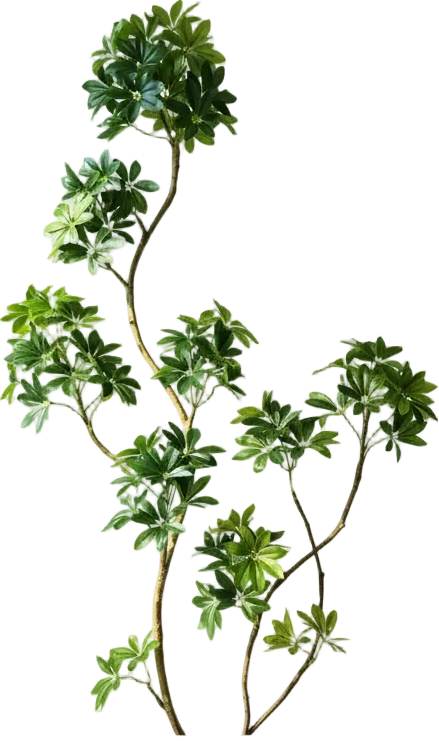 Dwarf Umbrella Tree (Life-like Artificial)