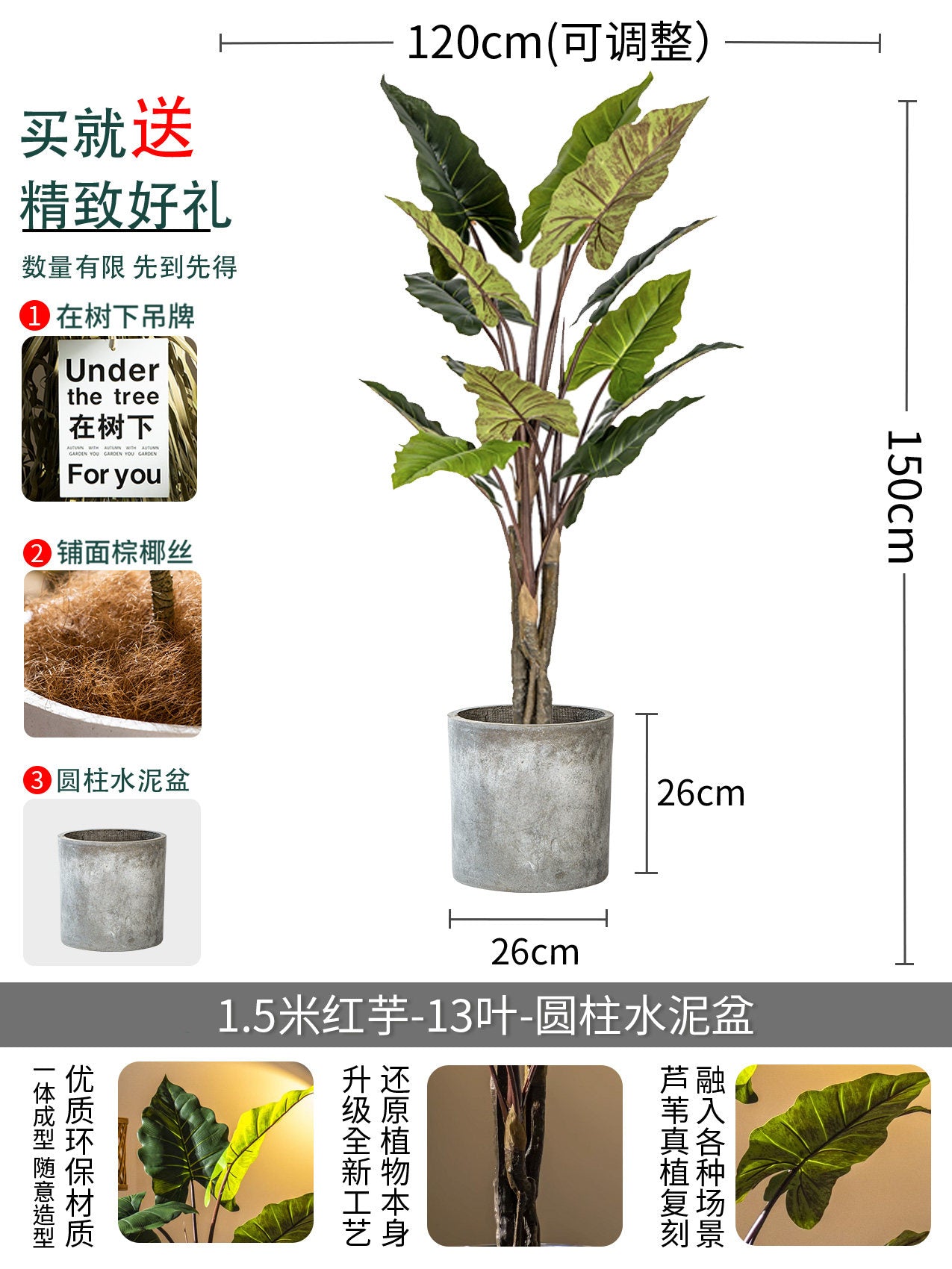 1.5m red taro tree ?? + Potted leaves are encrypted and thickened
