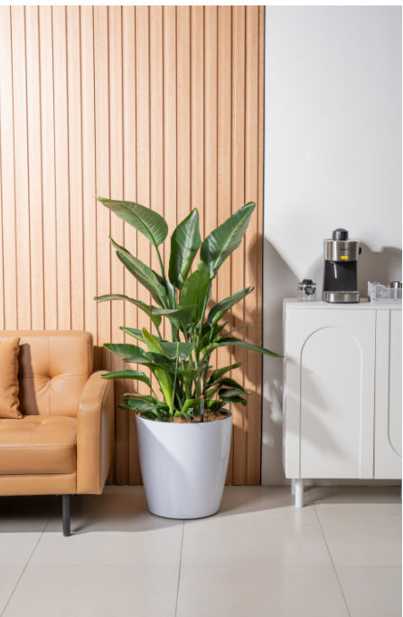 HydroEase Classic Self-Watering Pot - XL