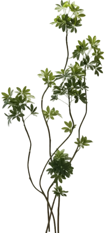 Dwarf Umbrella Tree (Life-like Artificial)