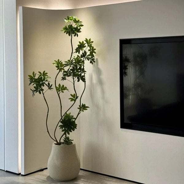 Dwarf Umbrella Tree (Life-like Artificial) -  -  Tumbleweed Plants