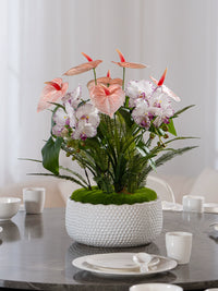 Anthurium Arrangement (Faux)