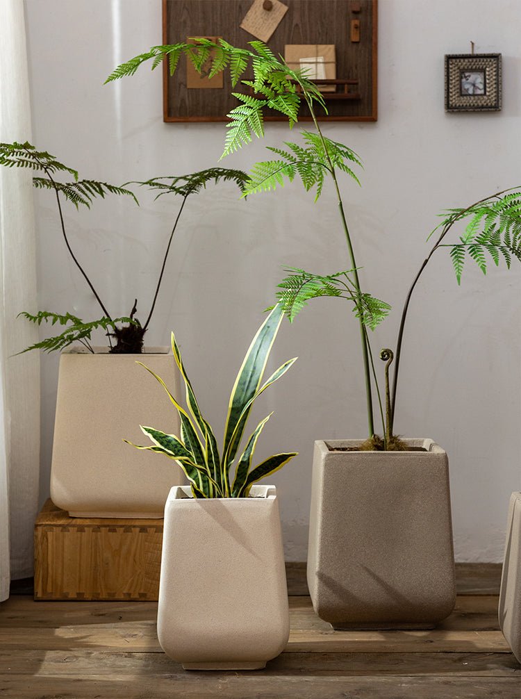 Naro Planter - Large - Planter - 5802601584647 - Tumbleweed Plants - Online Plant Delivery Singapore