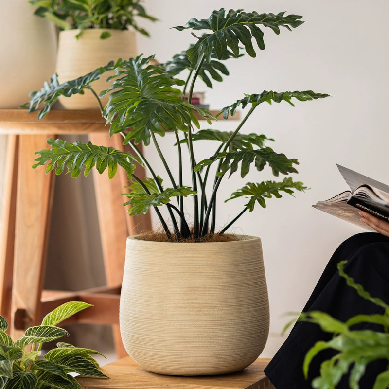 XL Stripes Tulip Pot