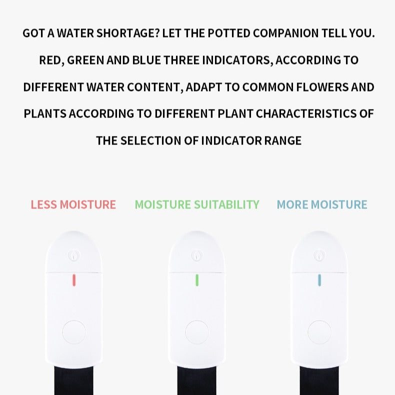 PlantPulse Watering Meter
