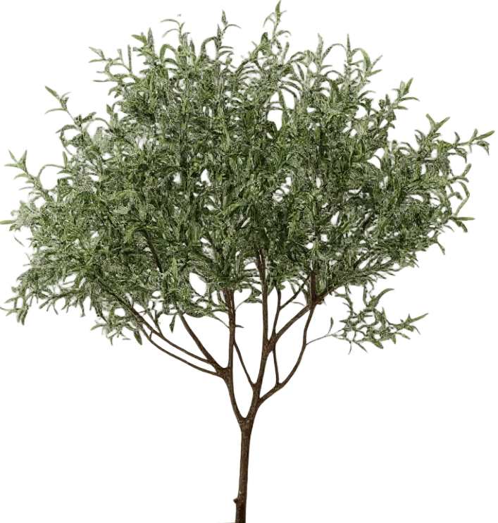 Olive Tree - Real-Trunk Artificial