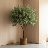 Olive Tree - Real-Trunk Artificial