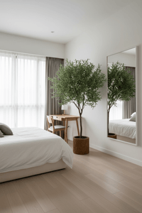 Olive Tree - Real - Trunk Artificial - Potted plant - 5516314535781 - Tumbleweed Plants - Online Plant Delivery Singapore