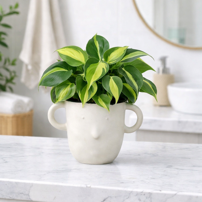 Otis Cup Pot