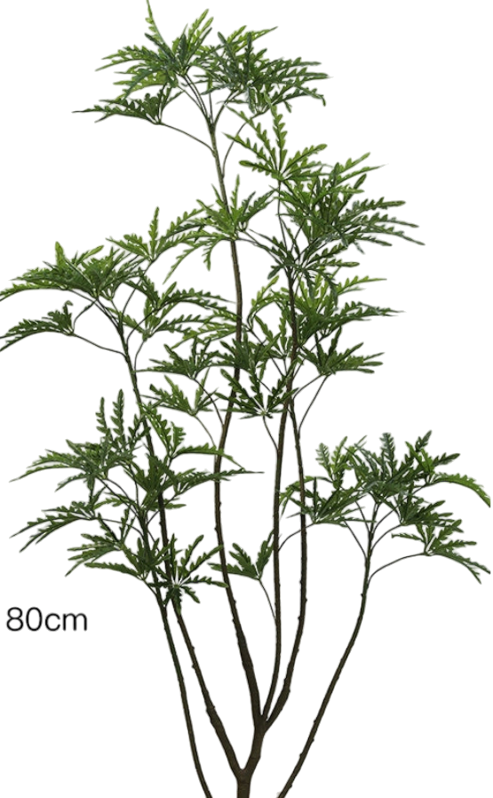 Peacock Plant (Life-like Artificial)