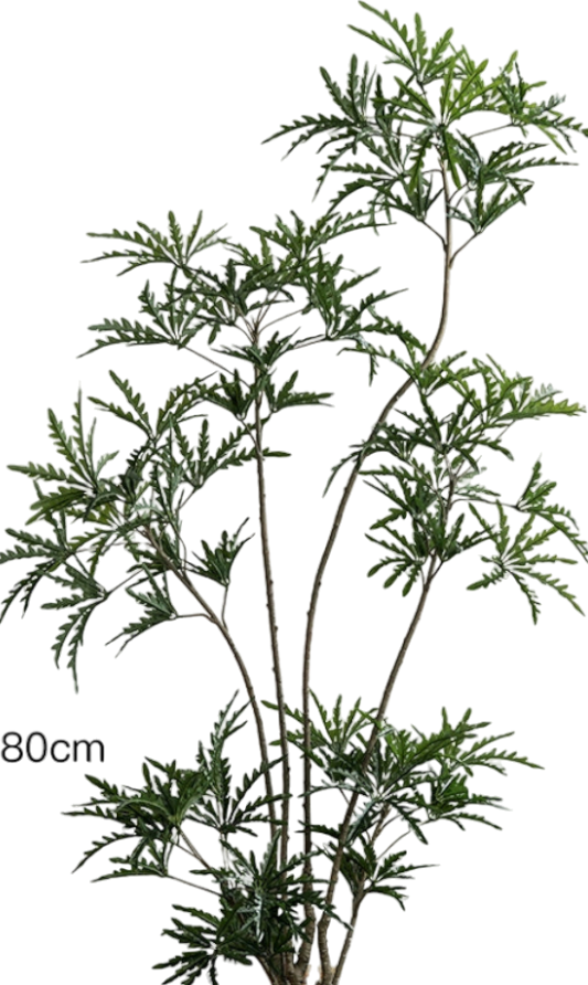 Peacock Plant (Life-like Artificial)