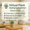Plant Styling Consultation - Add Ons - PLAN - 5539 - Tumbleweed Plants - Online Plant Delivery Singapore
