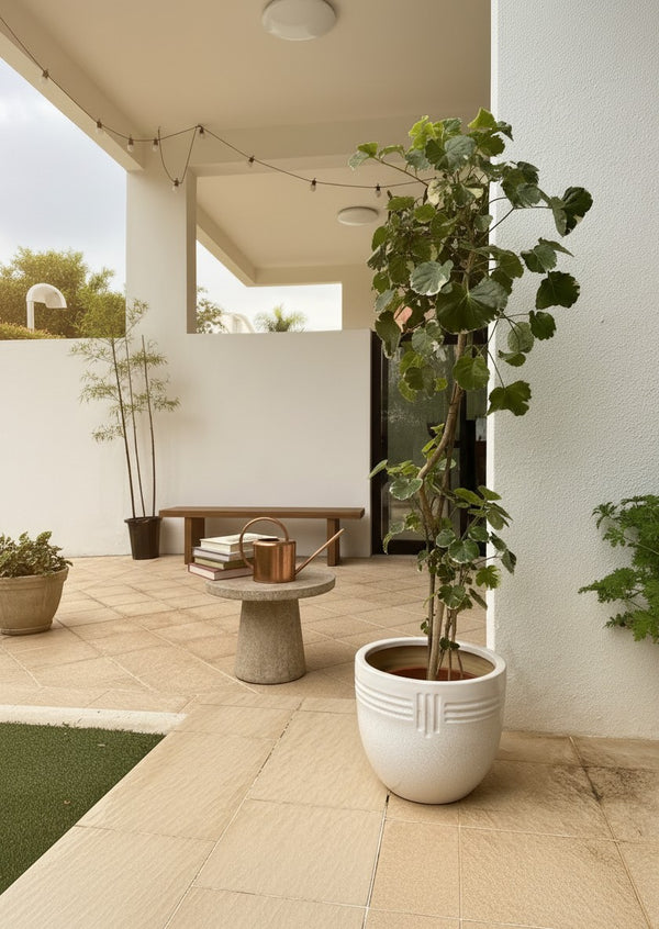Second Chance: Washo Pot with FREE plant