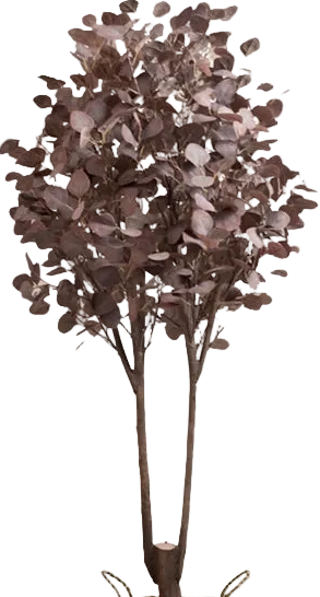 Eucalyptus Real-Trunk Artificial