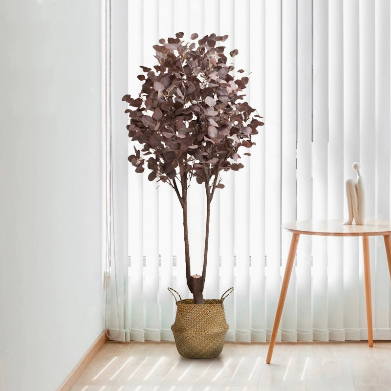Purple eucalyptus double trunk 150cm