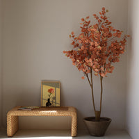 Eucalyptus Real-Trunk Artificial - Potted plant -  Tumbleweed Plants