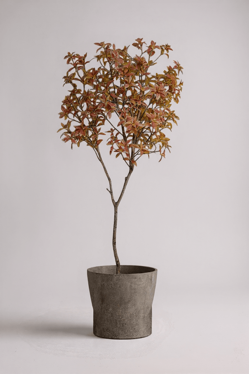 andromeda bonsai tree Artificial Japanese Andromeda Tree