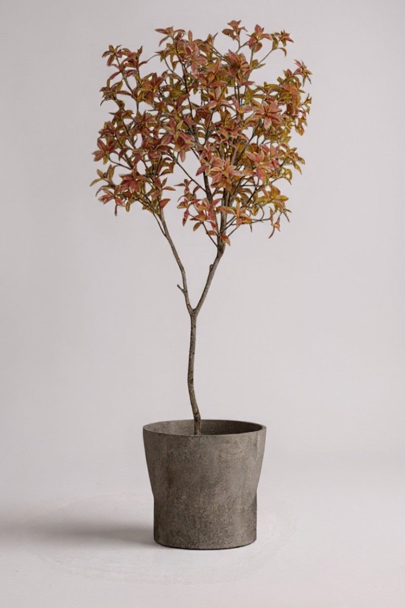 Japanese Andromeda - Real - Trunk Artificial - Potted plant - 4921603839552 - Tumbleweed Plants - Online Plant Delivery Singapore