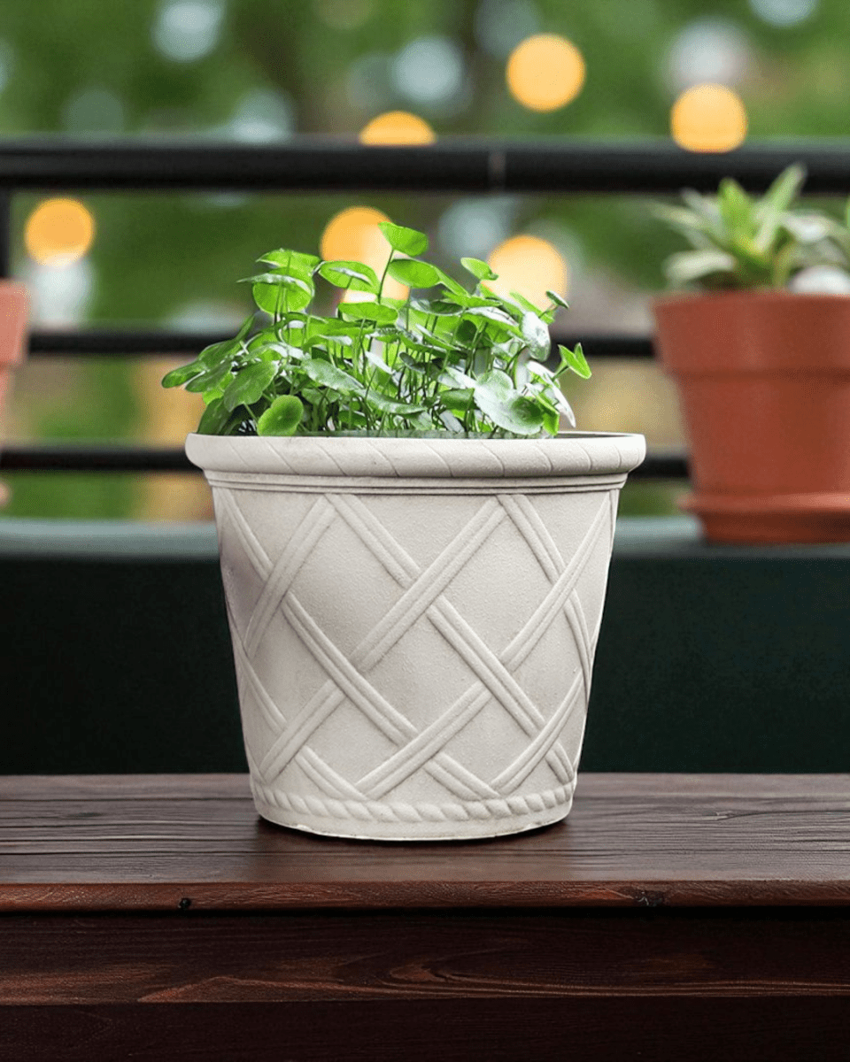Roman Lattice Pot - XL - Planter - 5459844634548 - Tumbleweed Plants - Online Plant Delivery Singapore