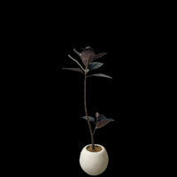 Rubber Tree 1.2m (Life-like Artificial)