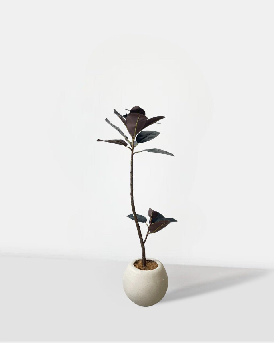 faux rubber plant tree Buy Faux Rubber Tree (Life-Like Plant)