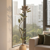 Rubber Tree 1.7m (Life-like Artificial)