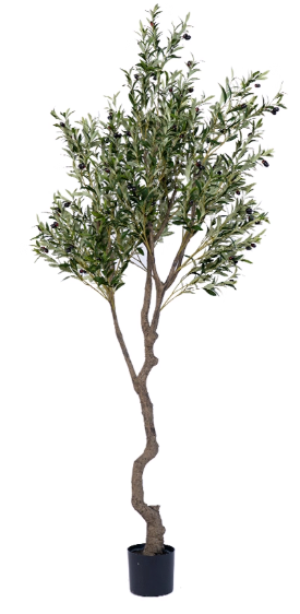 Olive Tree (Life-like Artificial)