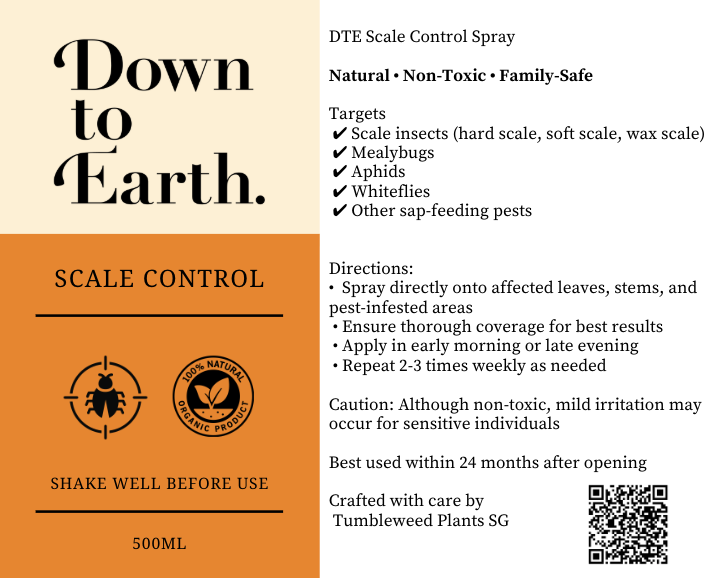 Down To Earth. Scale Control