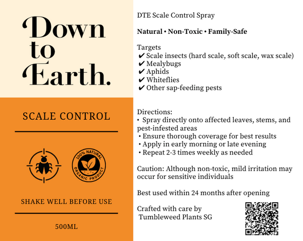 Down To Earth. Scale Control
