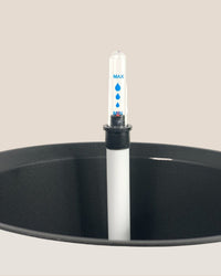 Medium Self Watering Pot with Stand - black - Pot - Tumbleweed Plants - Online Plant Delivery Singapore