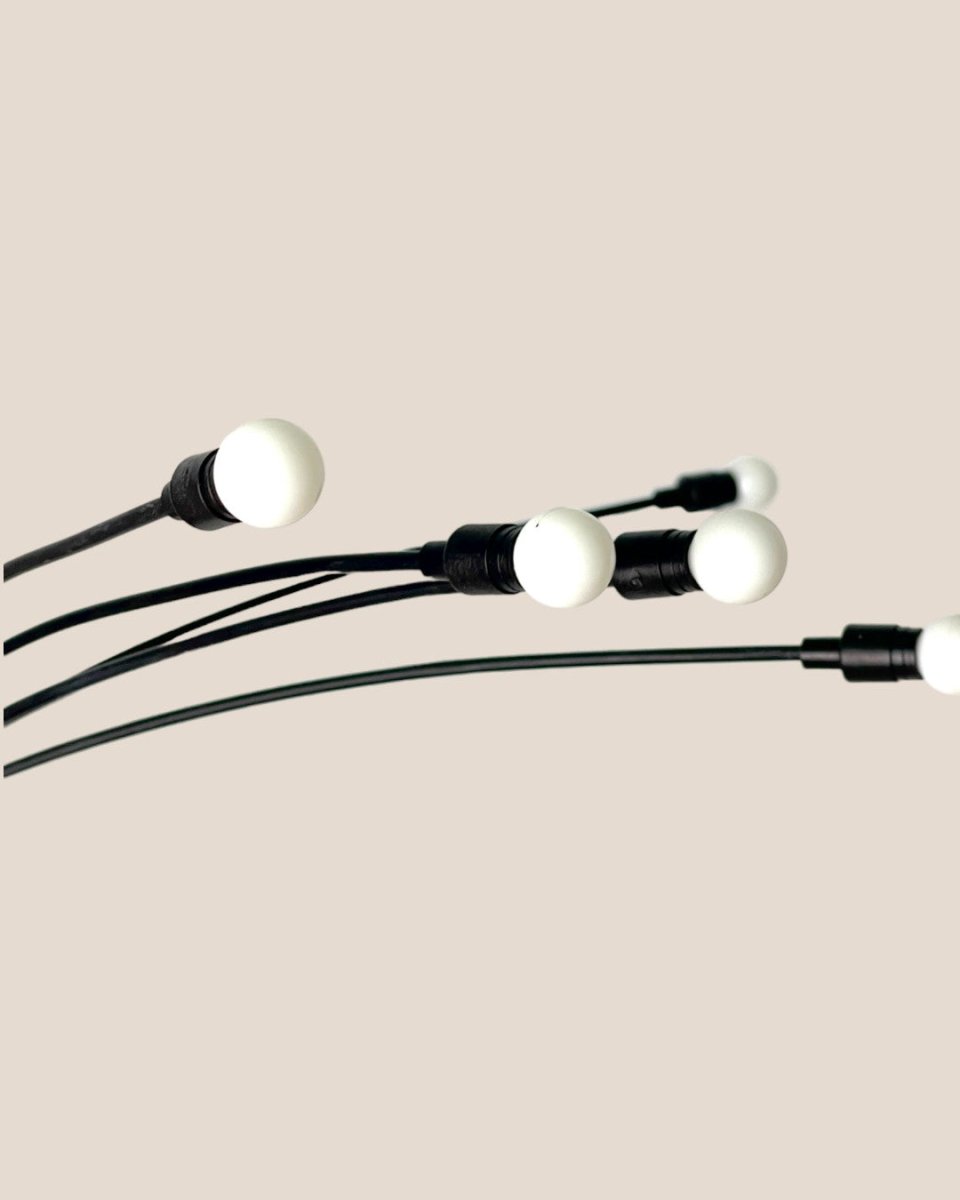 Solar Plant Light - Accessory - Tumbleweed Plants - Online Plant Delivery Singapore