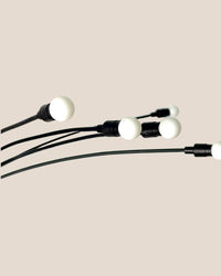 Solar Plant Light - Accessory - Tumbleweed Plants - Online Plant Delivery Singapore