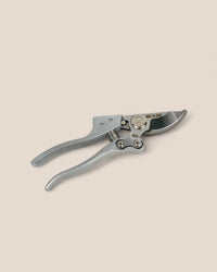 Stem Cutters - Silver Shears - Tool - Tumbleweed Plants - Online Plant Delivery Singapore